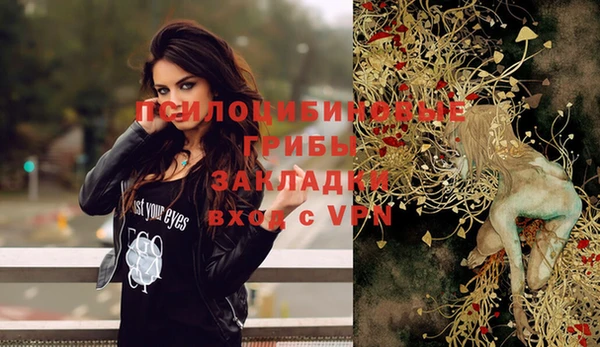 ешки Абаза