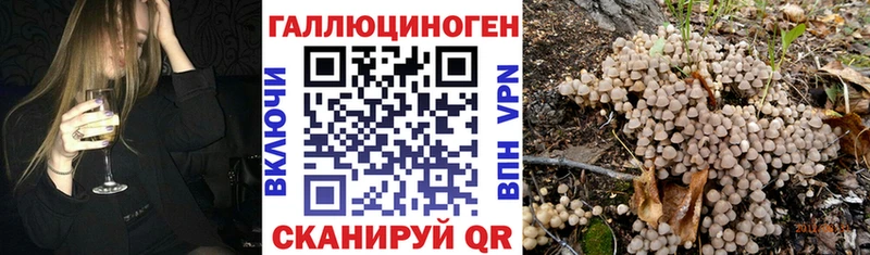 Галлюциногенные грибы Magic Shrooms  где найти наркотики  Покров 