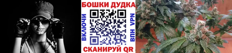 Бошки марихуана OG Kush купить наркотик Покров